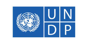 UNDP Logo